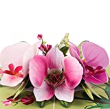 TRUANCE Pop Up Greeting Card Orchid Flower- 3D Cards For Birthday, Anniversary, Mothers Day, Thank You Cards, Card for Mom, Valentine's Day, Love Card, Birthday Card For Wife, All Occasion, With Blank Note
