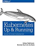 Kubernetes: Up and Running: Dive into the Future of Infrastructure